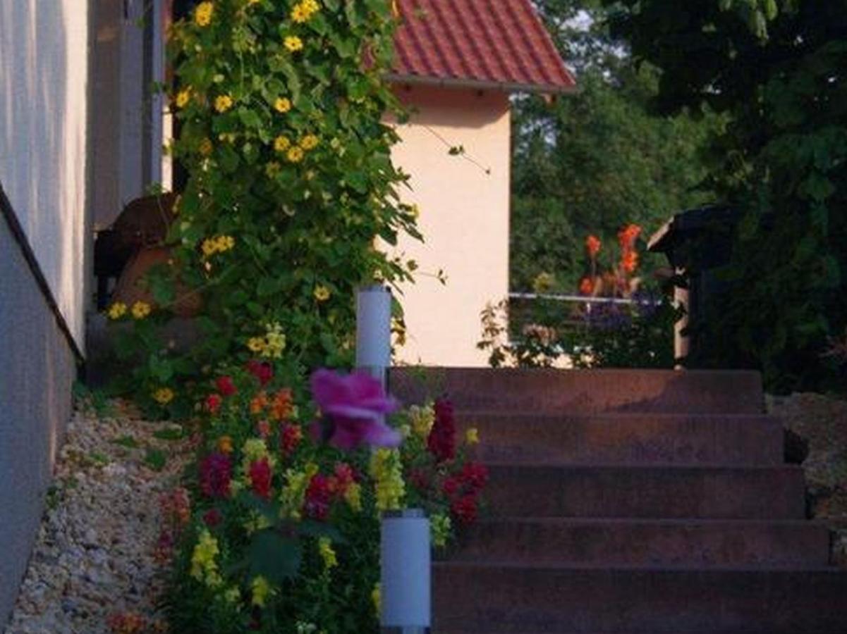 Annettes Ferienstuebchen Διαμέρισμα Bad Berka Εξωτερικό φωτογραφία